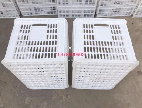 洛阳水果筐批发
